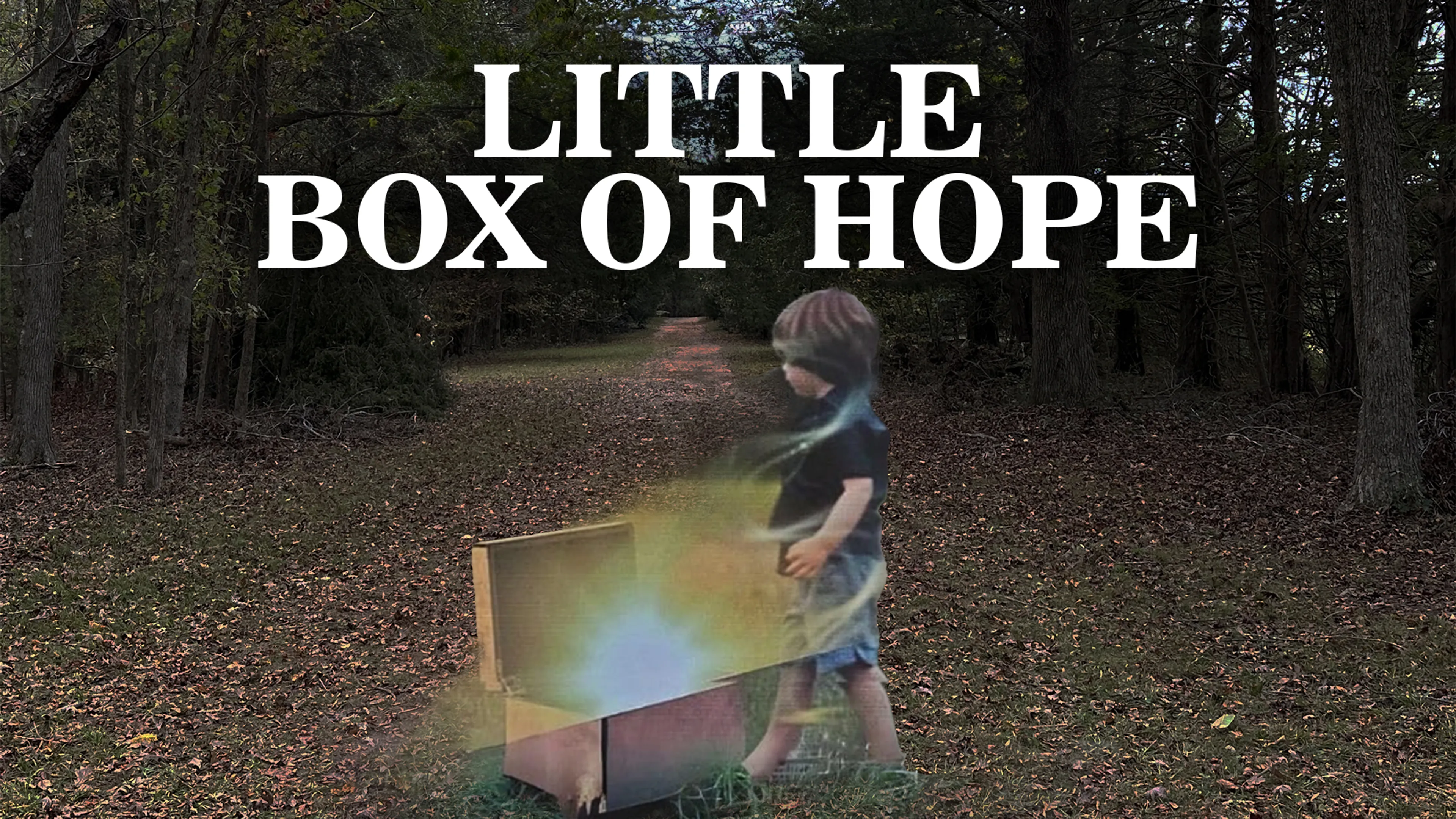 Little Box of Hope poster